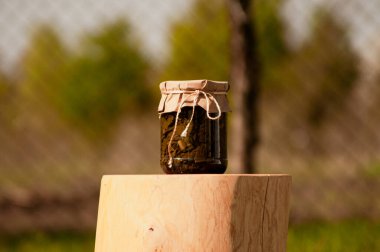 Yeşil bir bahçedeki kütüğün üzerinde duran bir kavanoz konserve kuş. Kış için yeşillik depolama kavramı. Sağlıklı organik vegan ve vejetaryen yemekleri