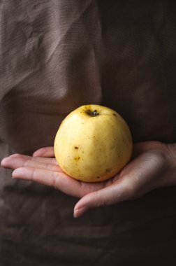 Sarı elma tutan kadın eli. Dikey arkaplan. Metin için alanı kopyala