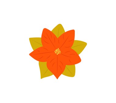 Basit Noel Poinsettia 'sı beyaz arka planda izole edilmiş. Vektör çizimi. Geleneksel Noel çiçek sembolü. El çizimi düz çizgi film tarzı. Noktalı küme