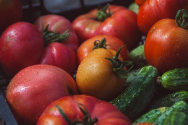 Bir kutuda domates ve salatalık hasadı yakın çekim. Yatay arkaplan. Organik tarım, sebze yetiştirme ve hasat kavramı