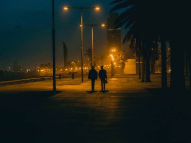Işık festivali resmi