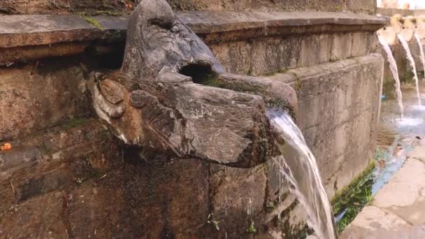 Вода Тече Каменю Святому Місці Мататірта Індуїстське Релігійне Місце Присвячене — стокове відео