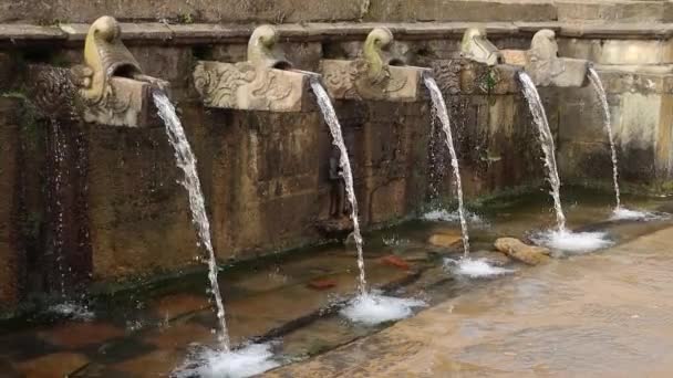 Water Flowing Stone Spout Holy Place Matatirtha Hindu Religious Place — Stock Video