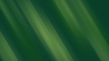 Corporate Green Abstract Background