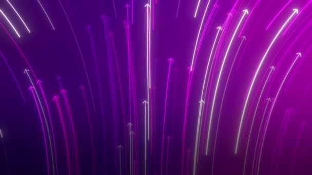 Purple White Lines Animated Background Footage — Stock Video