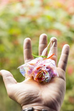 Beyaz arka planda yeşil bir yaprak tutan el.