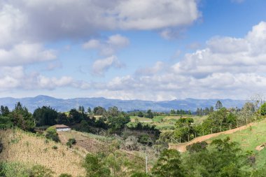 Arkasında bir dağ olan güzel bir manzara.