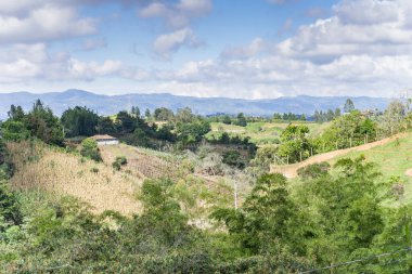 Arkadaki yeşil tepeler ve ormanlar