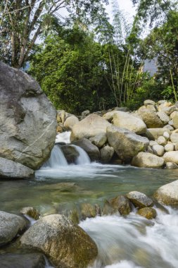 Ormanda güzel bir şelale