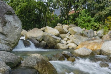 Ormanda güzel bir şelale