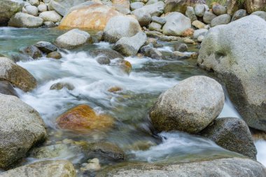Ormandaki güzel nehir