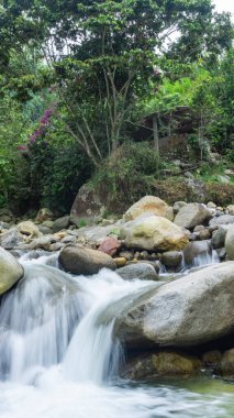 Ormanda güzel bir şelale