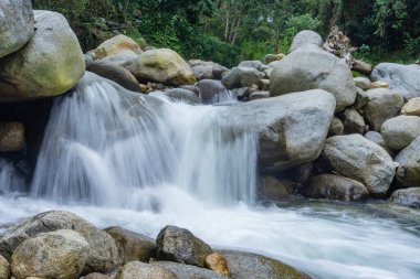 Ormanda güzel bir şelale