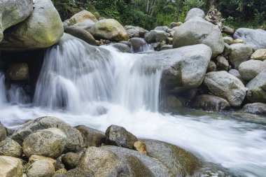 Ormanda güzel bir şelale