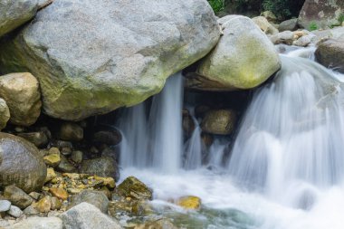 Ormanda güzel bir şelale