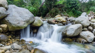 Ormanda güzel bir şelale
