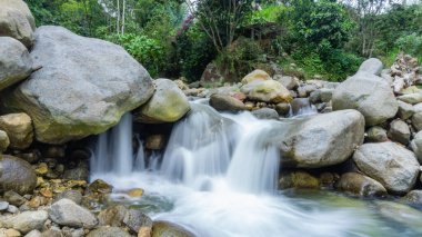 Ormanda güzel bir şelale