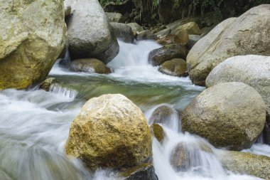Ormanda güzel bir şelale