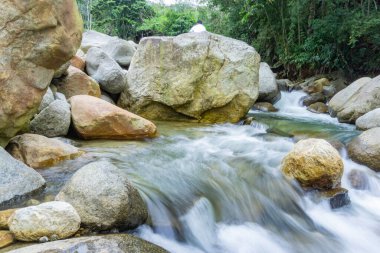 Ormanda güzel bir şelale