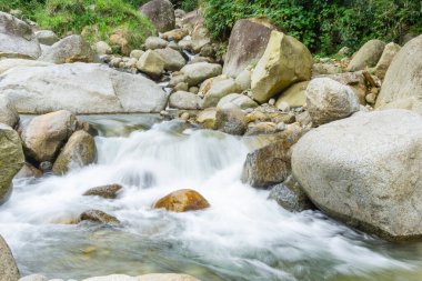 Ormanda güzel bir şelale
