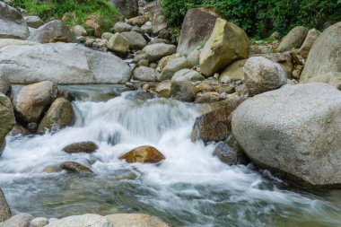 Ormanda güzel bir şelale