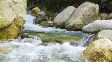 Ormanda güzel bir şelale