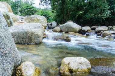 Ormanda güzel bir şelale
