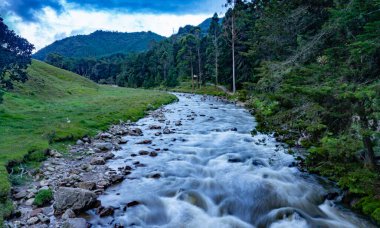 Dağlardaki güzel dağ nehri