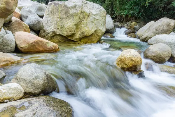 Ormandaki güzel nehir