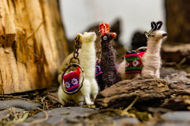 Sepetteki küçük şirin bir geyiğin yakın plan fotoğrafı.