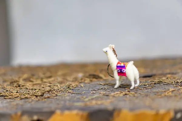 Pies Bawiący Się Zabawką Plaży — Zdjęcie stockowe