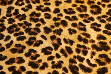 leopar teni dokusu arkaplanı.