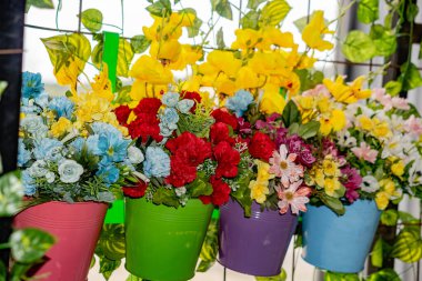 Plastik kaplarda renkli çiçekler