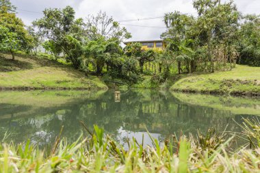 Dağlardaki güzel göl