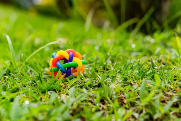 Zabawka Plastikowy Samochód Zabawki Trawie — Zdjęcie stockowe