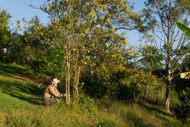 Maceracı Latin kadın tek başına kamp yapıyor.