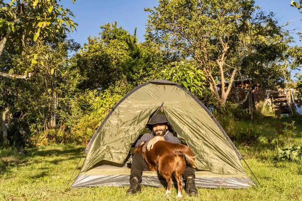 adventurous man camping with his dog