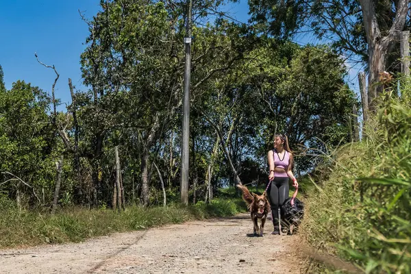 Latina woman exercising with her dogs. Woman jogging with her pets in the middle of nature. Woman walking her dogs on a sunny day. Happy dogs.