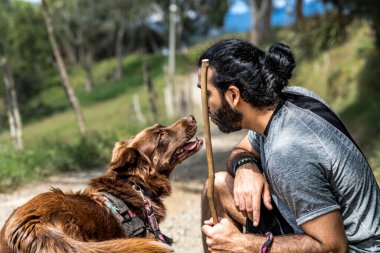 Kahverengi kenarlı çoban köpeği yetişkin mestizo adamın yüzünü kokluyor kırsal bölgede neredeyse onu öpüyor ve gülümsüyor.