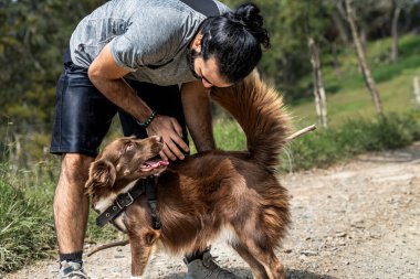 Yetişkin erkek köpek çoban köpeğiyle mutlu bir şekilde oynuyor ve yeni numaralar öğrendiği için onu tebrik ediyor.