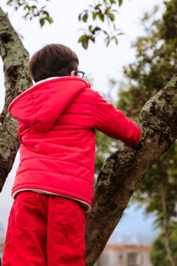 Uluslararası Çocuk Günü. Gözlüklü ve kırmızı ceketli güzel Latin çocuk dışarıda çok mutlu oynuyor. Eğlenceli konsept.