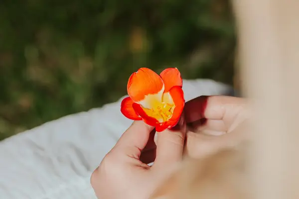 Sarı saçlı, şapkalı, beyaz etekli, ağaçlarla çevrili, mutlu Latin bir kadın. Kırsalda tatilin tadını çıkaran bir kadın..