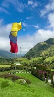 Kolombiya 'nın Cocora Vadisi' nin güzel manzarasındaki Kolombiya bayrağının dikey videosu. Geziler ve güzel kasabalar. Balmumu palmiye ağacı. Kolombiya ulusal sembolü.