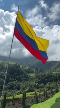 Kolombiya 'nın Cocora Vadisi' nin güzel manzarasındaki Kolombiya bayrağının dikey videosu. Geziler ve güzel kasabalar. Balmumu palmiye ağacı. Kolombiya ulusal sembolü.