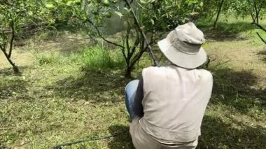 Bahçesini koruyan adamın videosu. Su, toprak ve büyüme. Hortum.