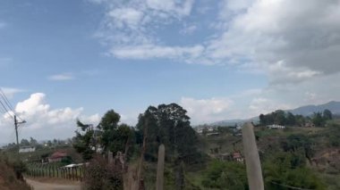 Yetişkin bir adamın çoban köpeğiyle egzersiz yaptığı bir video. 