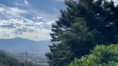 Kolombiya manzaralarının, ağaçların ve dağların güzel bir videosu. Seyahat, manzara ve gökyüzü.
