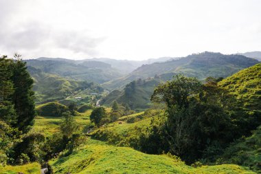 Dağların ve ağaçların güzel manzarası. Kolombiya doğası.