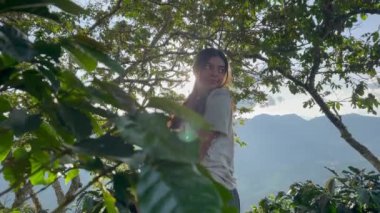 Kolombiya 'nın kahve bölgesinde Riosucio dağlarındaki ağaçlardan kahve toplayan güzel, genç, Kolombiyalı Latin mestizo köylü kadın. Kahve işleniyor. Kahve endüstrisi