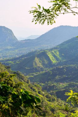 Kolombiya kahve bölgesinde yer alan Riosucio, Caldas 'ın kırsal kesimindeki And Dağları' nda günbatımı manzarası, geniş kahve ve muz tarlaları..